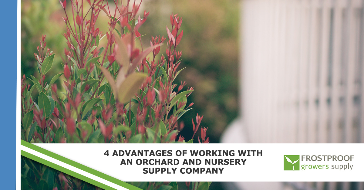 4 Advantages of Working With An Orchard and Nursery Supply Company