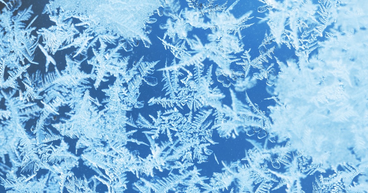 Protecting Your Plants From Frost Frostproof Growers Supply