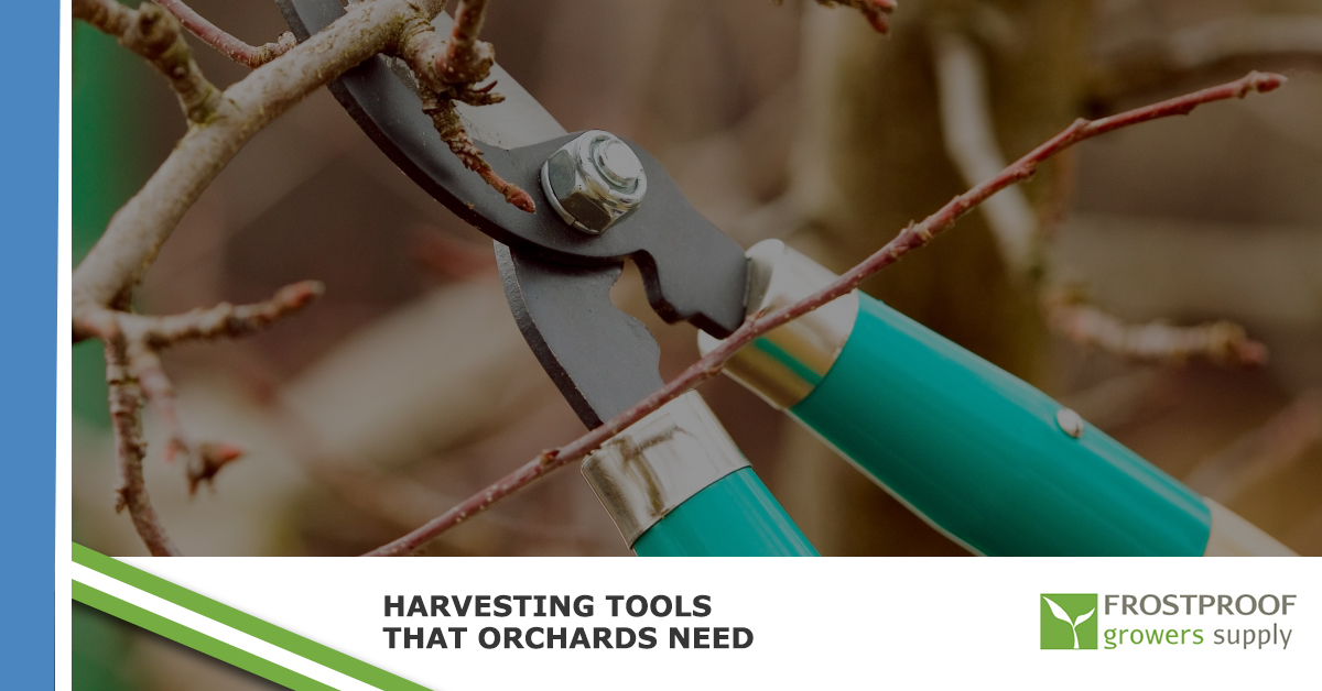 Harvesting Tools That Orchards Need Frostproof Growers Supply