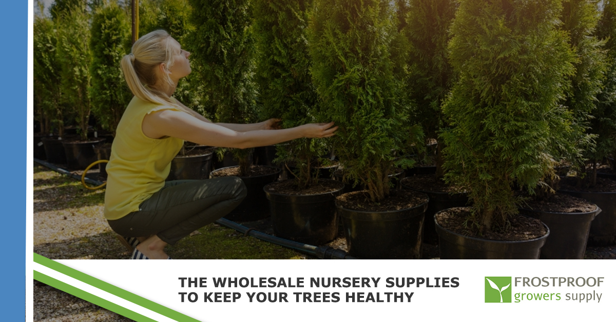 The Wholesale Nursery Supplies To Keep Your Trees Healthy Frostproof