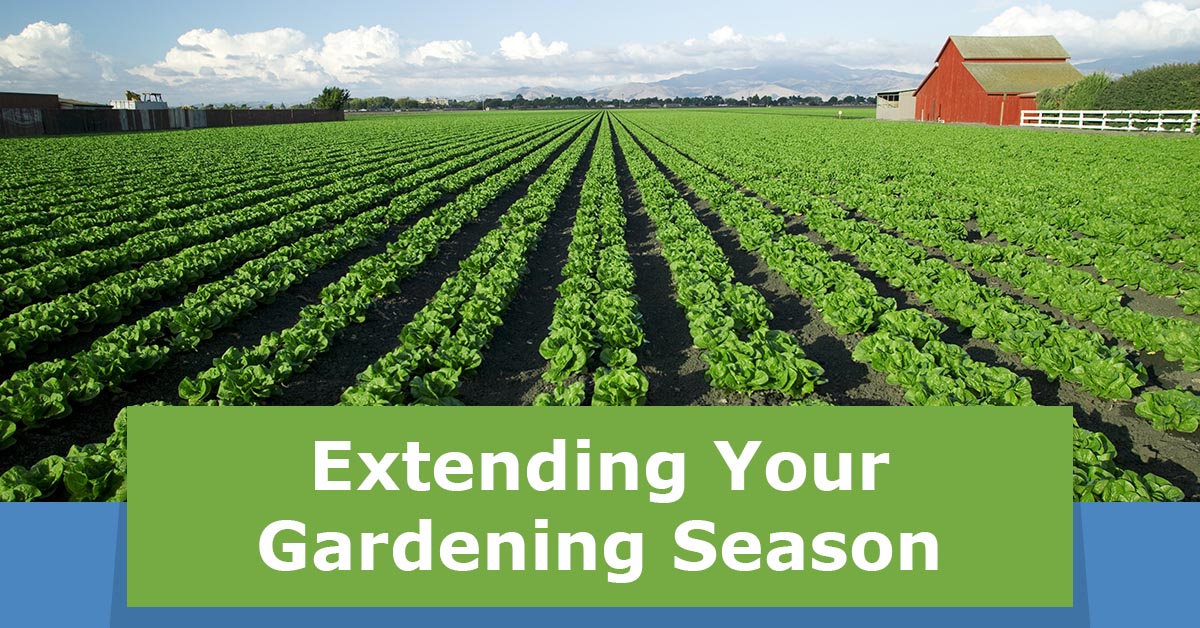 extending-your-gardening-seasonfeatured-img.jpg