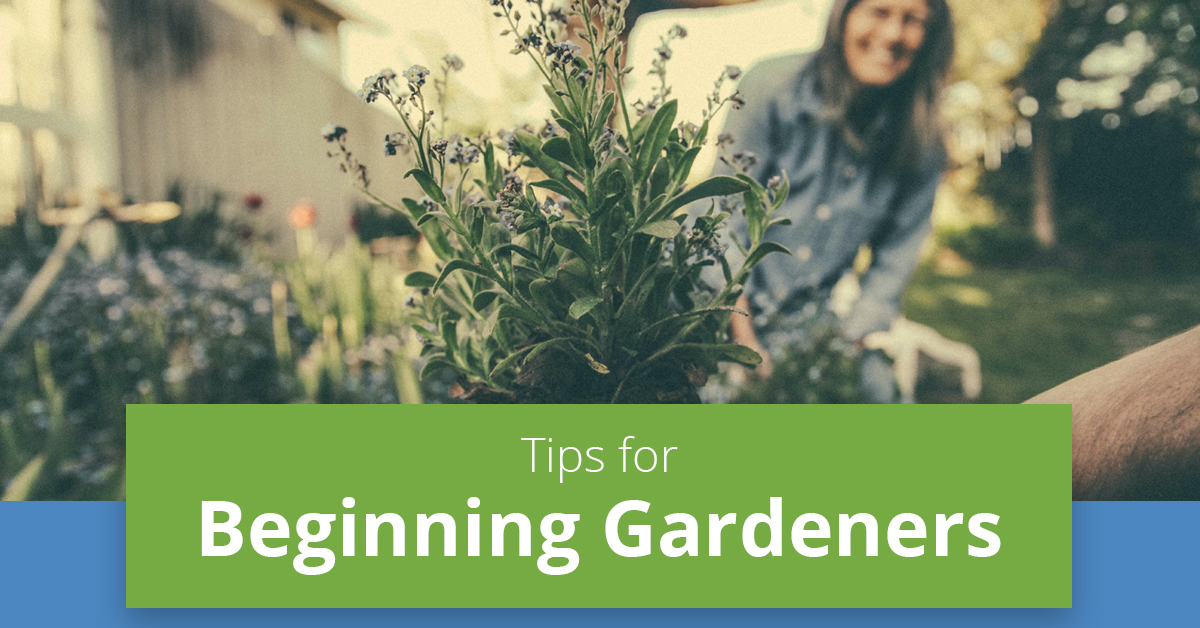 featured-image-beginning-gardeners.jpg