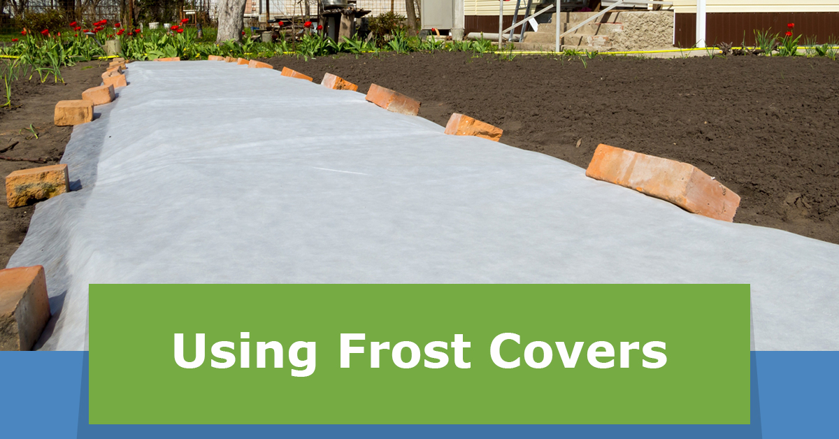 featured-img-using-frost-covers-.jpg