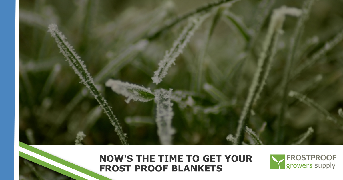 Now's The Time To Get Your Frost Proof Blankets Frostproof Growers Supply