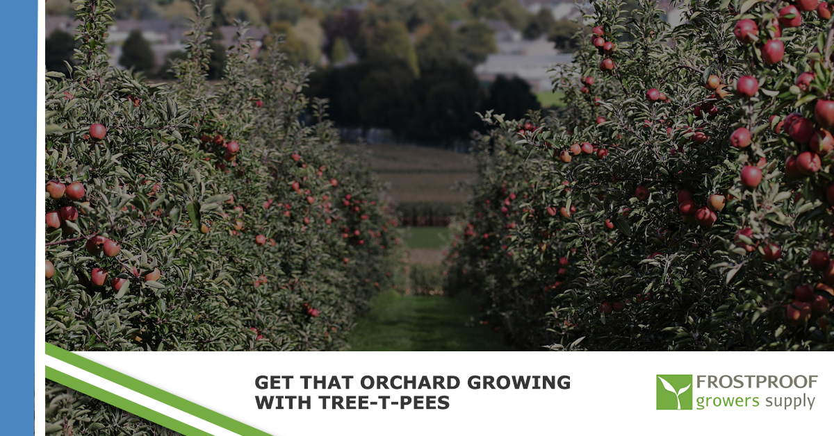 Get That Orchard Growing With TreeTPees Frostproof Growers Supply
