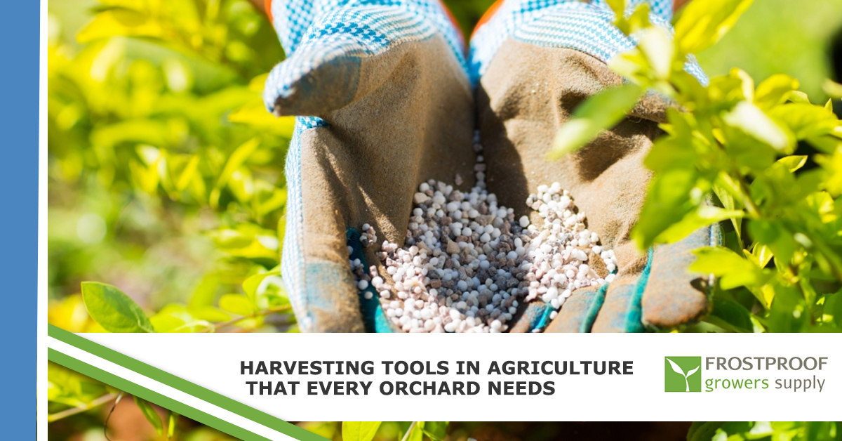 Harvesting Tools In Agriculture That Every Orchard Needs Frostproof