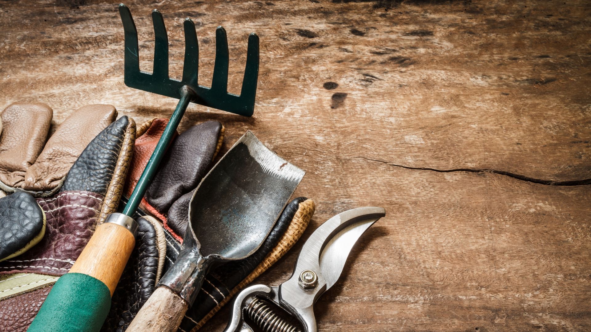 Specialty Gardening Tools to Try Frostproof Growers Supply