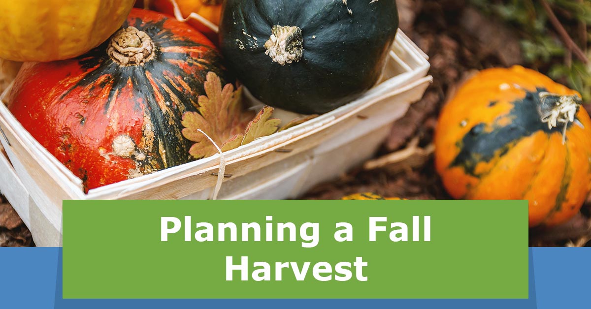 planning-a-fall-harvestfeatured-img.jpg