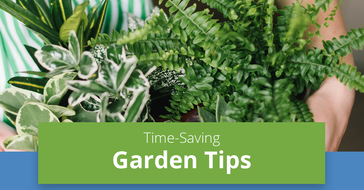 time-saving-garden-tips.jpg