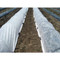 Protect your plants from the sun and birds with this Dewitt 1oz Deluxe Plus Floating Row Cover. It comes in 24-foot x 1000-foot.