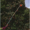 Don't damage your fruit as it falls. Catch it with this Clip-N-Pick Telescoping Fruit Picker.