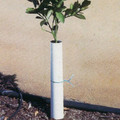 Protect the trunks of saplings with these corrugated Sprout Saver II tree wraps (8"H x 8"W) (W02)
