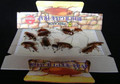 Cockroach Traps - 5 pack / with natural food pill