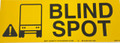 Blind Spot - Sticker