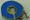 Replacement Strap. 50mm x 9m Strap. Lashing Capacity 2500kg.