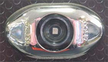 Red 2 inch Oval LED Side Marker Light, with Clear Lens and Stainless Steel Surround. 12 Volt Only.