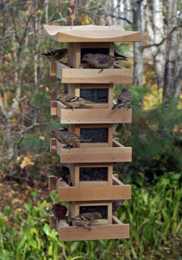 Pagoda bird feeder with finches