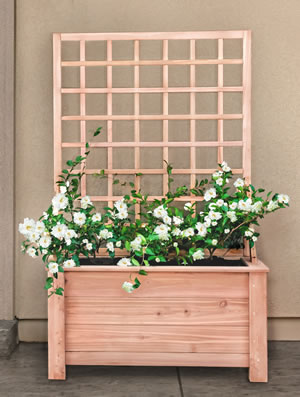 Planter Box with Single Wall Trellis