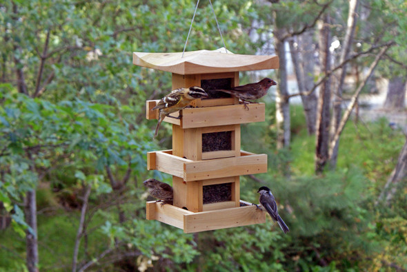 Pagoda Bird Feeders - Naturalyards.com