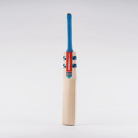 2022 Gray-Nicolls Vapour Gen 1.0 3 Star Cricket Bat.