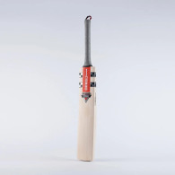 2023 Gray-Nicolls Xiphos 300 Original Cricket Bat.
