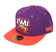 Edward Waters University Snapback Hat