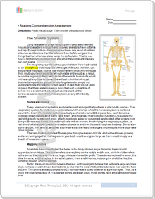 "The Skeletal System" - 10G / 1070L