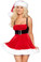Roma Costume Santa's Envy
