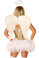 Daisy Corset 4Pc Glitter Angel Costume