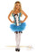 Daisy Corset 4Pc Sexy Alice Costume