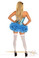 Daisy Corset 4Pc Sexy Alice Costume