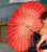 Elegant Moments Red Parasol