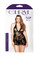 Fantasy Lingerie Stretch Lace Chemise and Matching G-String Packaging