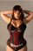 Timeless Trends Red Rose Taffeta Corset