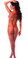 BodyZone Apparel String Thong Lace - Red(Back)