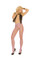 Elegant Moments Diamond Net Pantyhose