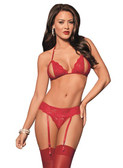 Escante Peek-A-Boo Bra and Garter Panty Set with Hose