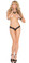 Elegant Moments Lace V Front Thong with Lace Up Back Detail