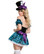 Starline Mad Hatter Costume