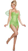 Starline Fairy Dress Costume