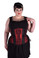 Timeless Trends Iridescent Burgundy Hourglass Corset 