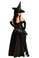 Daisy Corset 5 PC Sexy "Wicked Witch" Costume