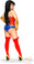 Daisy Corset Plus Size 4 PC Sexy "Sexy Superhero" Costume