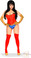 Daisy Corset Plus Size 4 PC Sexy "Sexy Superhero" Costume
