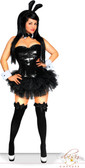 Daisy Corset Plus Size 5 PC Sexy Sequin Bunny Costume