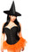 Daisy Corset Plus Size 4 PC Glitter Pin-Up Witch Costume