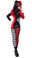 Roma Costume 2PC Villainous Vixen