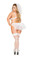 Roma Cotume Lace Top, Lace Garter Belt with Detachable Garters, Lace G-String and Veil - Plus