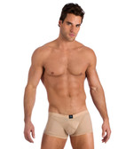 Gregg Homme Virgin Boxer Briefs