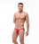 Gregg Homme Torrid Briefs - Red